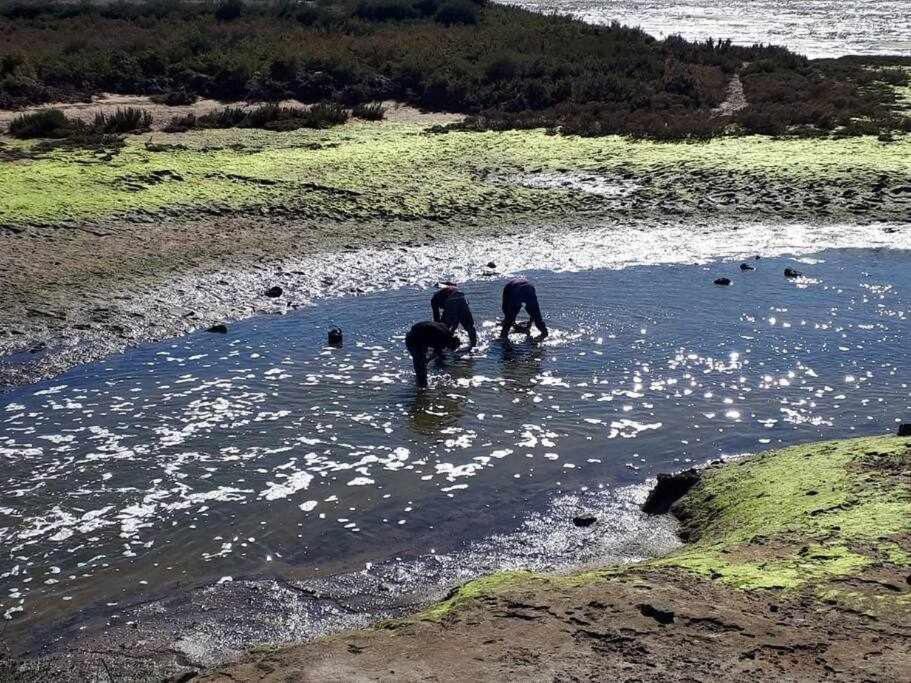 Ria Formosa Pineview Βίλα Φάρο Εξωτερικό φωτογραφία
