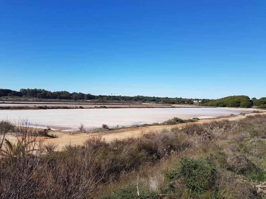Ria Formosa Pineview Βίλα Φάρο Εξωτερικό φωτογραφία