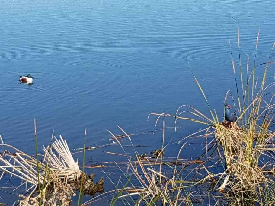 Ria Formosa Pineview Βίλα Φάρο Εξωτερικό φωτογραφία